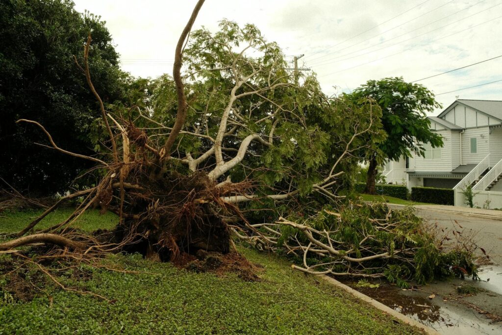 “After the Storm: The Homeowner’s Guide to Wind and Storm Damage Claims”By Ronnie Gelfont – 21st Century Public Adjusters